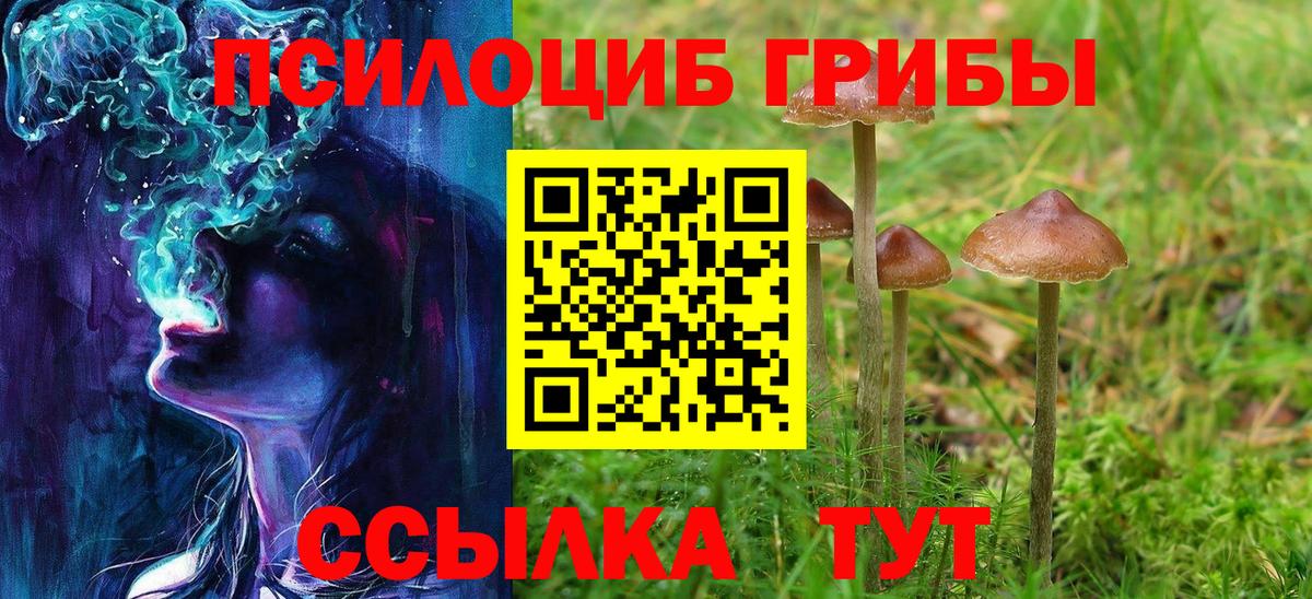 Галлюциногенные грибы Magic Shrooms Тамбов